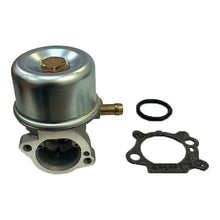 Load image into Gallery viewer, Carburetor For Briggs Stratton 498170 498254 497347 497314 799868