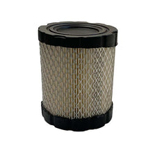 Cargar imagen en el visor de la galería, Filtro de aire Briggs Stratton 592496 44M977 44P977 44Q977 49L977 798897